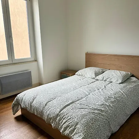 Grand 3 Pieces 4p Apartment Strasbourg